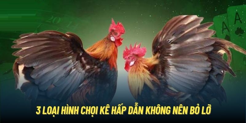 3 loại hình chọi kê hấp dẫn không nên bỏ lỡ